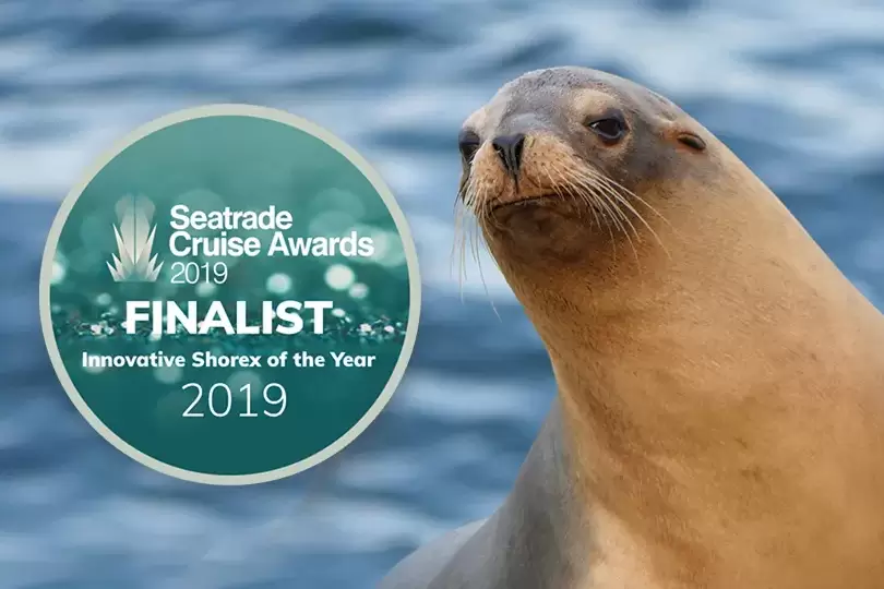 Innovative Shorex Award: Marine Mammal Center