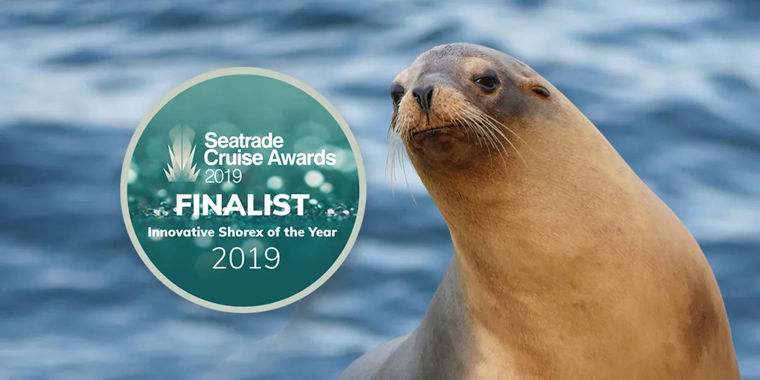 Innovative Shorex Award: Marine Mammal Center